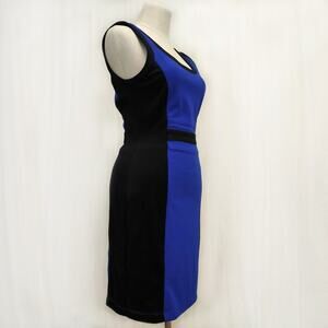 Friends Clothing Sleeveless Sheath Dress NWT